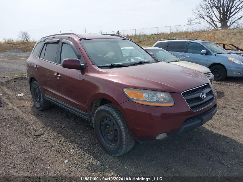 2009 Hyundai Santa Fe VIN: 5NMSG13E49H300784 Lot: 11987100