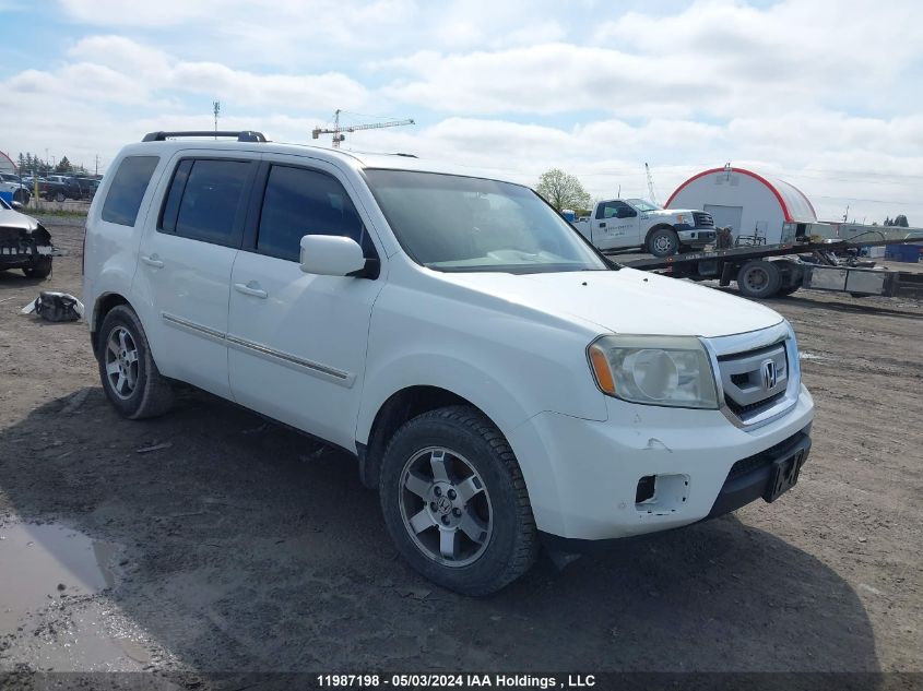 2010 Honda Pilot VIN: 5FNYF4H90AB503896 Lot: 11987198