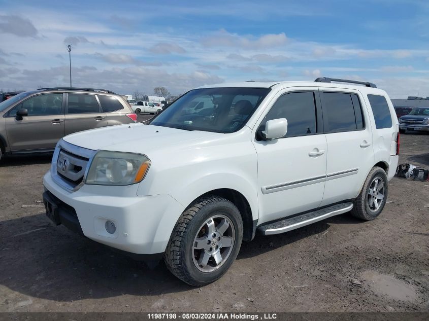 2010 Honda Pilot VIN: 5FNYF4H90AB503896 Lot: 11987198