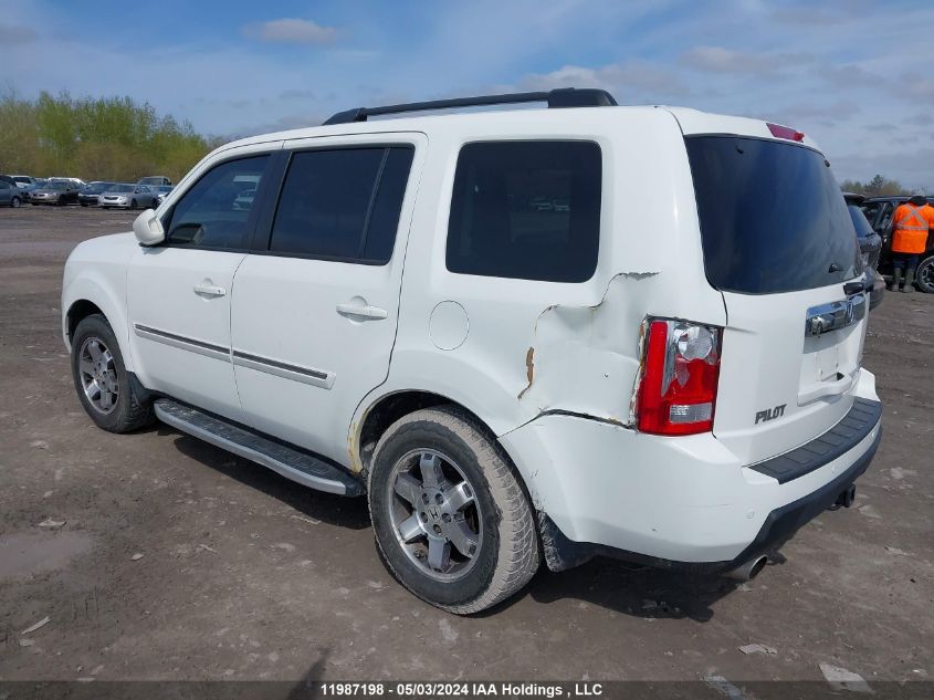 2010 Honda Pilot VIN: 5FNYF4H90AB503896 Lot: 11987198