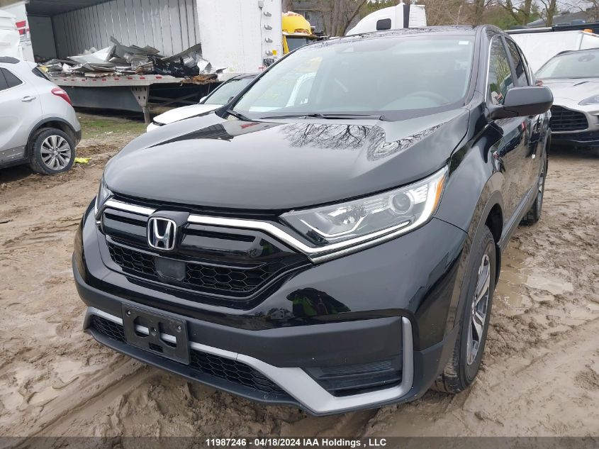 2022 Honda Cr-V Lx VIN: 2HKRW1H28NH001926 Lot: 11987246