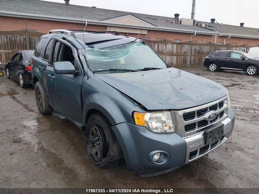 2010 Ford Escape VIN: 1FMCU9EG0AKB26131 Lot: 11987355