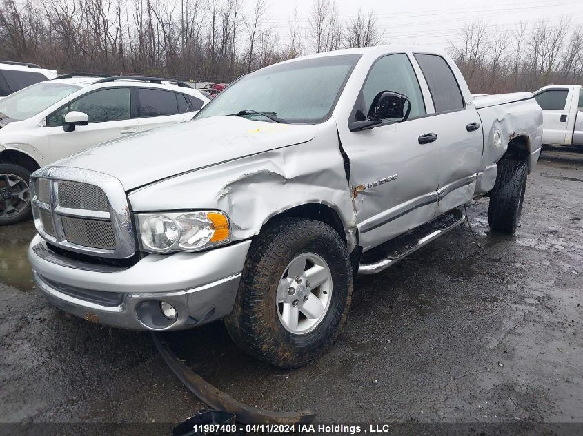 2002 Dodge Ram 1500 VIN: 1D7HU18N02S646813 Lot: 11987408