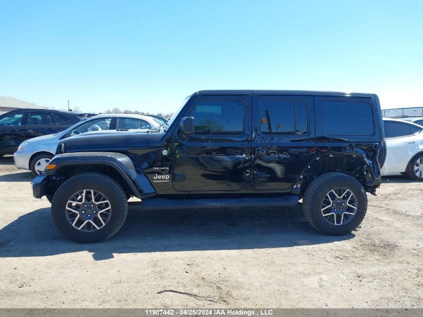 2024 Jeep Wrangler Unlimited Sahara VIN: 1C4PJXEN3RW151689 Lot: 11987442