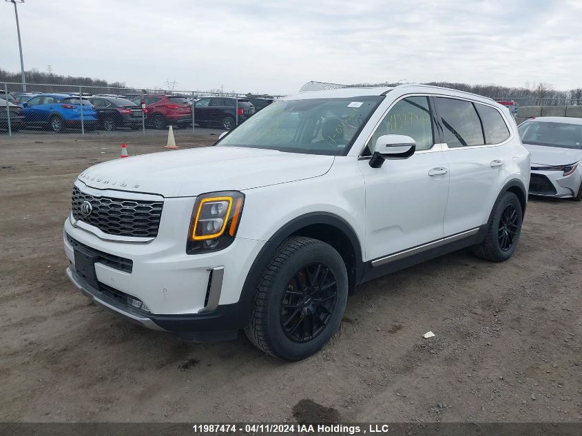 2020 Kia Telluride Sx VIN: 5XYP5DHC9LG027119 Lot: 39180611