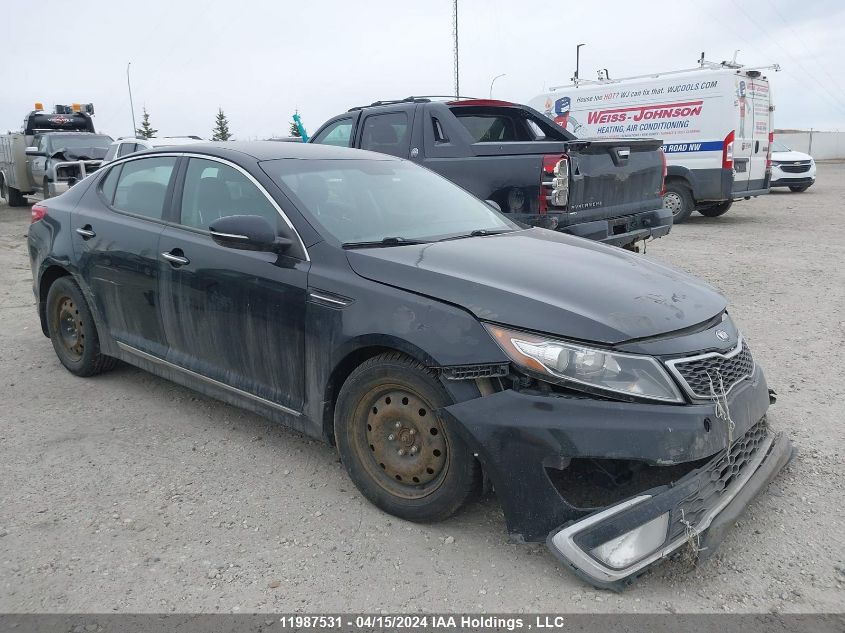 2012 Kia Optima VIN: KNAGM4AD9C5021431 Lot: 49052974