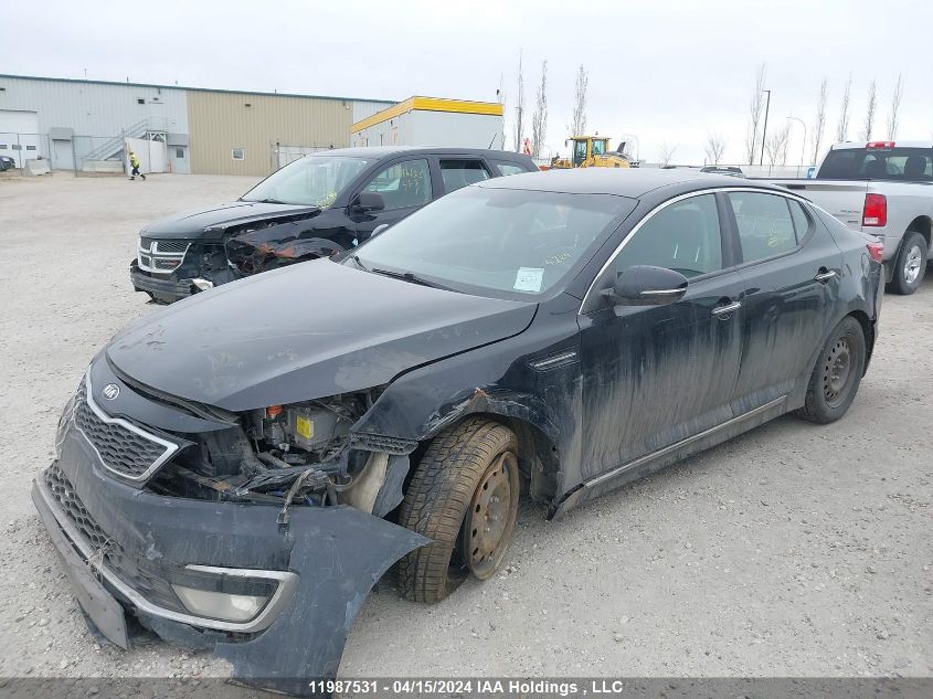 2012 Kia Optima VIN: KNAGM4AD9C5021431 Lot: 49052974