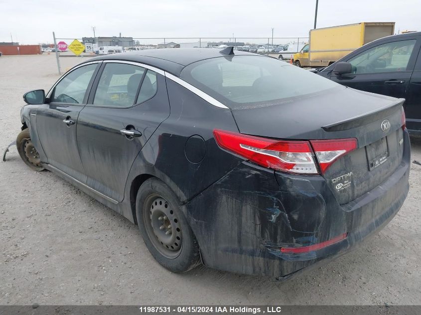 2012 Kia Optima VIN: KNAGM4AD9C5021431 Lot: 49052974