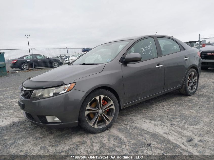 2013 Kia Forte VIN: KNAFW4A36D5688164 Lot: 11987584