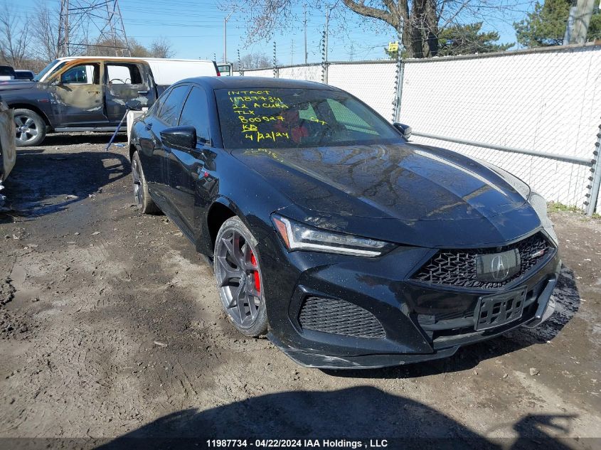 2022 Acura Tlx VIN: 19UUB7F0XNA800027 Lot: 11987734