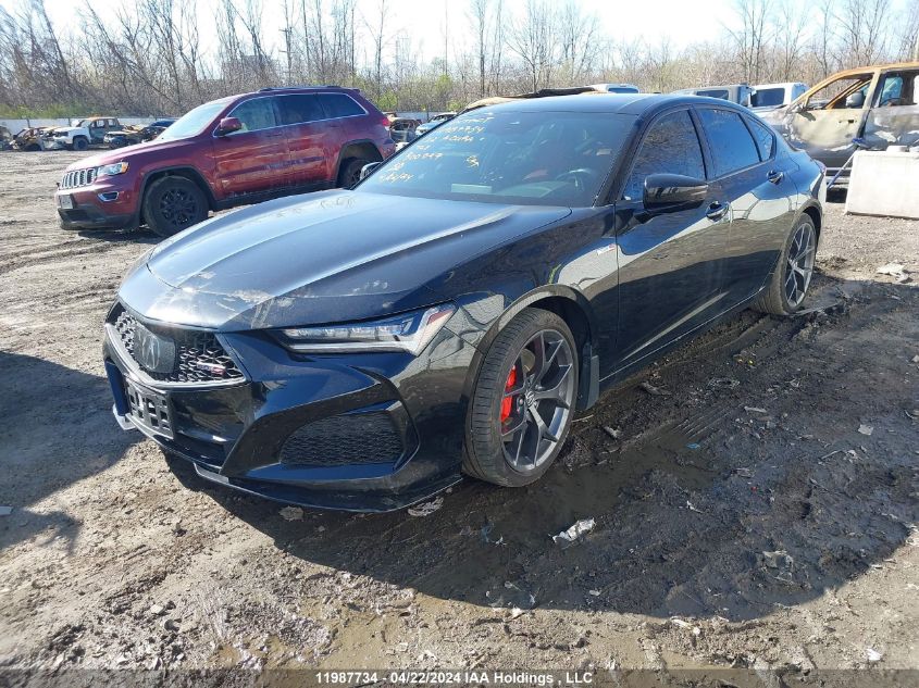 2022 Acura Tlx VIN: 19UUB7F0XNA800027 Lot: 11987734