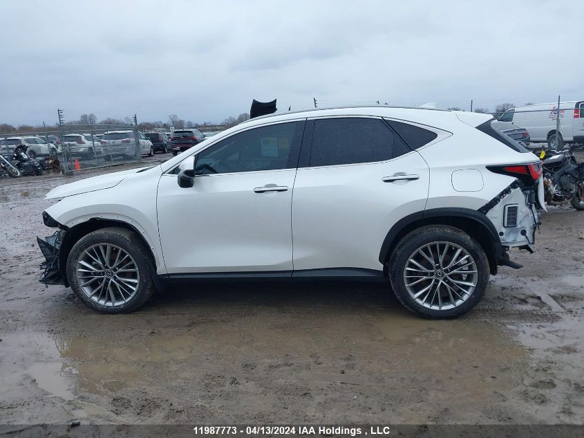 2022 Lexus Nx 350H VIN: JTJGKCEZ2N2003010 Lot: 11987773