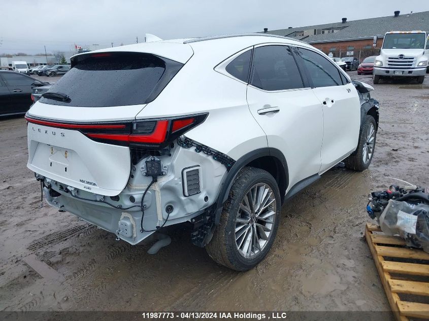 2022 Lexus Nx 350H VIN: JTJGKCEZ2N2003010 Lot: 11987773