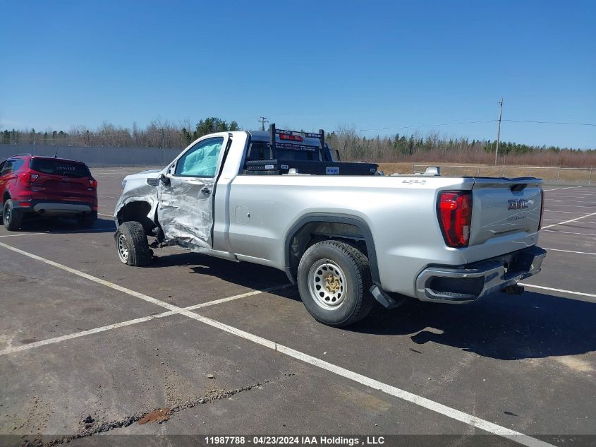 2020 GMC Sierra 1500 VIN: 3GTN9AEF3LG110863 Lot: 11987788