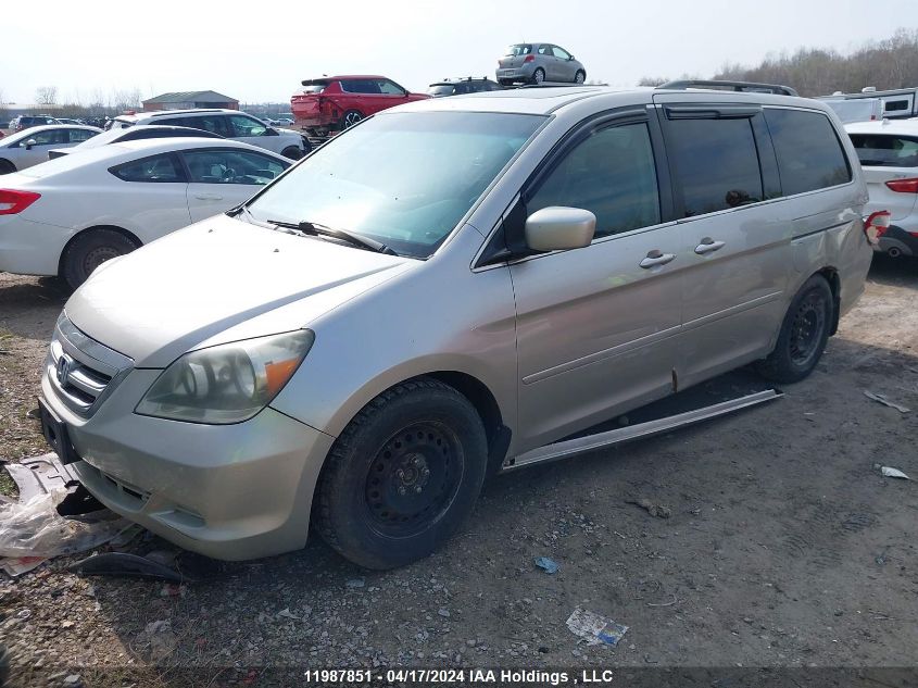 2006 Honda Odyssey VIN: 5FNRL38756B461531 Lot: 11987851