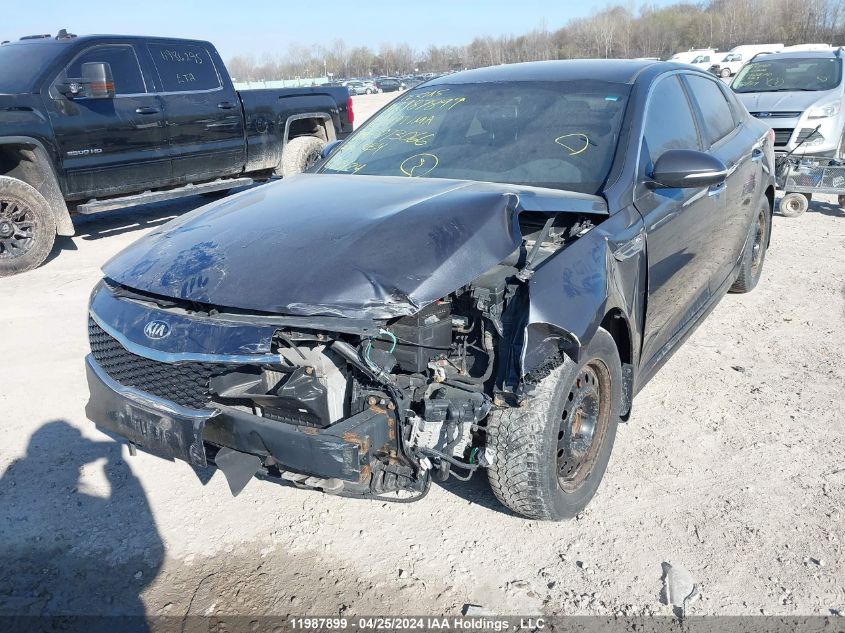 2016 Kia Optima VIN: 5XXGT4L15GG073066 Lot: 11987899