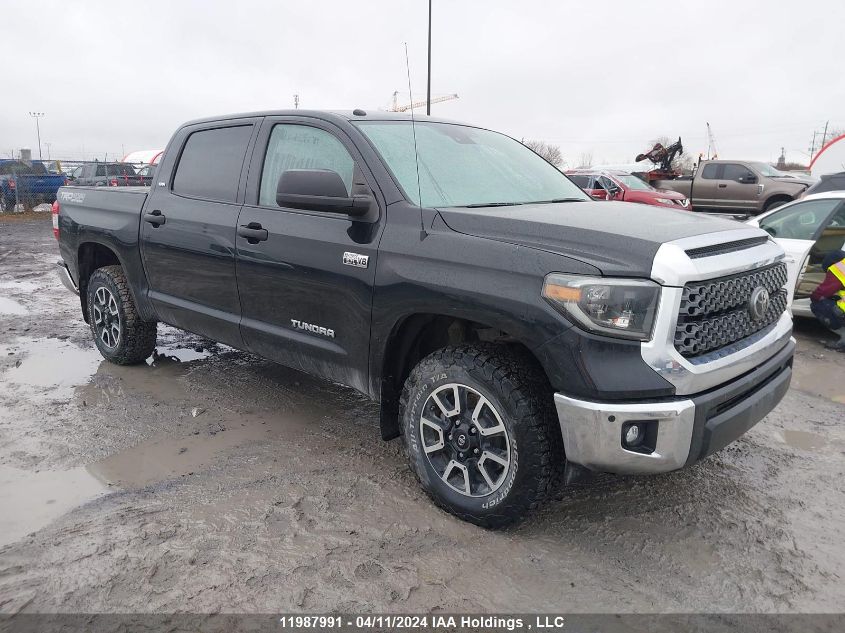 2019 Toyota Tundra Sr5 Plus 5.7L V8 VIN: 5TFDY5F11KX790085 Lot: 11987991