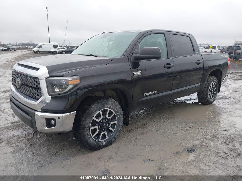 2019 Toyota Tundra Sr5 Plus 5.7L V8 VIN: 5TFDY5F11KX790085 Lot: 11987991