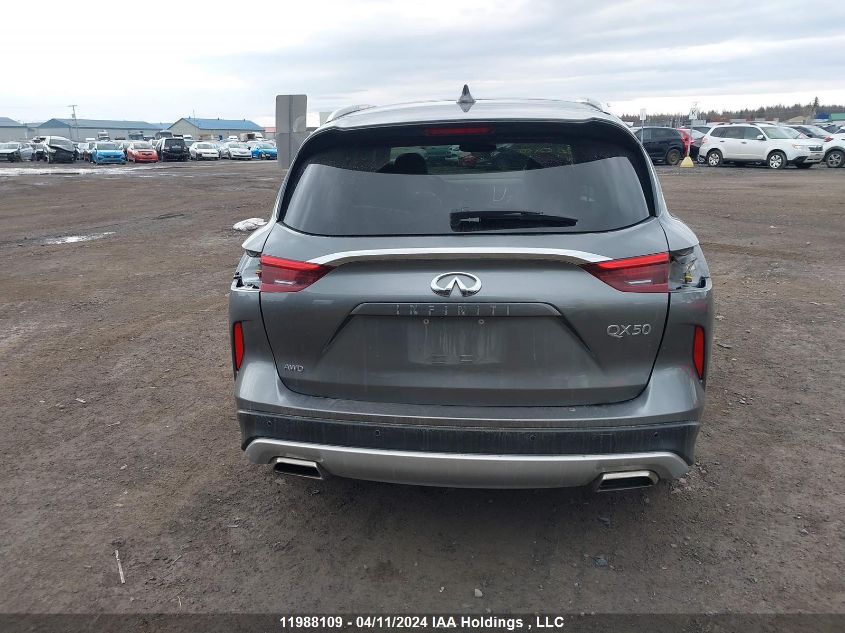 2020 Infiniti Qx50 VIN: 3PCAJ5M3XLF113981 Lot: 11988109