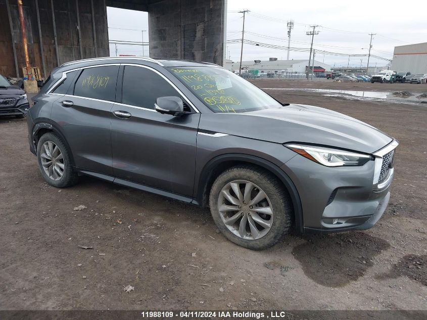 2020 Infiniti Qx50 VIN: 3PCAJ5M3XLF113981 Lot: 11988109