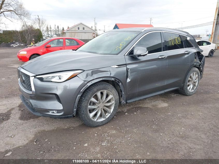 2020 Infiniti Qx50 VIN: 3PCAJ5M3XLF113981 Lot: 11988109