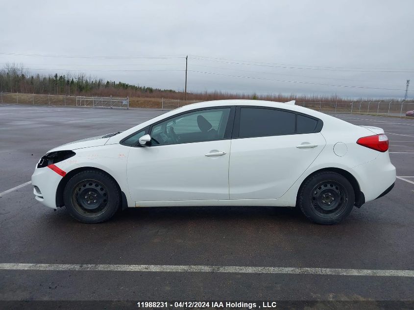 2014 Kia Forte VIN: KNAFX4A66E5251354 Lot: 11988231