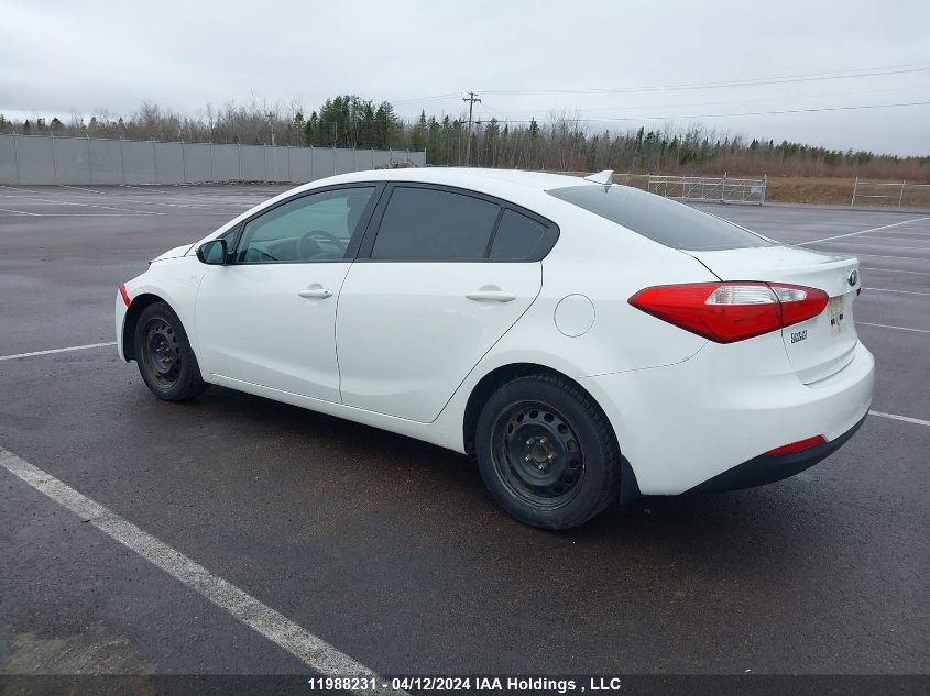 2014 Kia Forte VIN: KNAFX4A66E5251354 Lot: 11988231