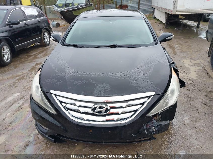 2011 Hyundai Sonata VIN: 5NPEC4AB6BH264446 Lot: 11988395