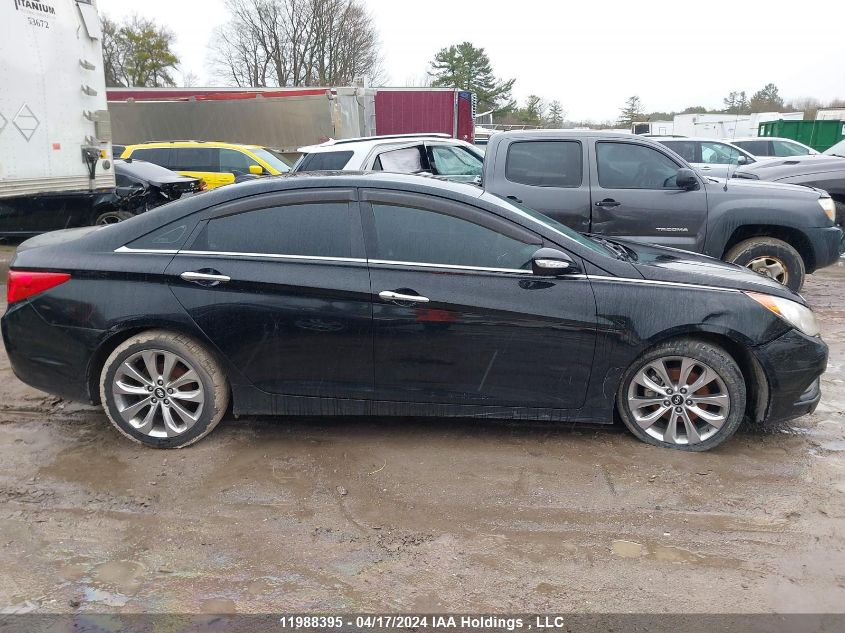 2011 Hyundai Sonata VIN: 5NPEC4AB6BH264446 Lot: 11988395