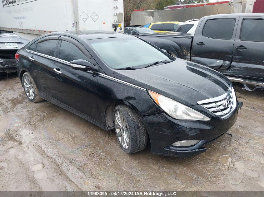 2011 Hyundai Sonata VIN: 5NPEC4AB6BH264446 Lot: 11988395