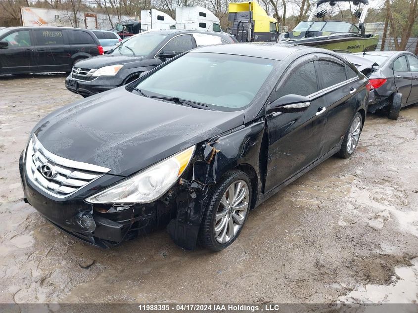 2011 Hyundai Sonata VIN: 5NPEC4AB6BH264446 Lot: 11988395