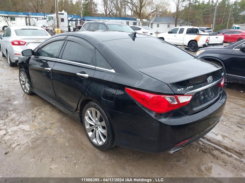 2011 Hyundai Sonata VIN: 5NPEC4AB6BH264446 Lot: 11988395