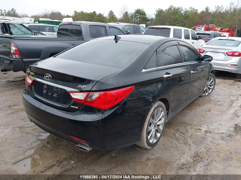 2011 Hyundai Sonata VIN: 5NPEC4AB6BH264446 Lot: 11988395