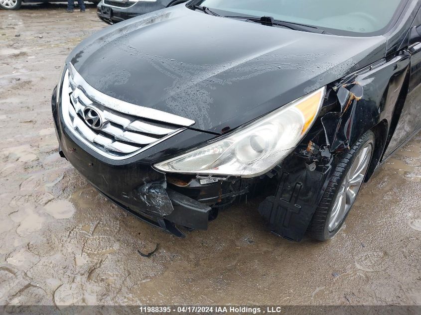 2011 Hyundai Sonata VIN: 5NPEC4AB6BH264446 Lot: 11988395