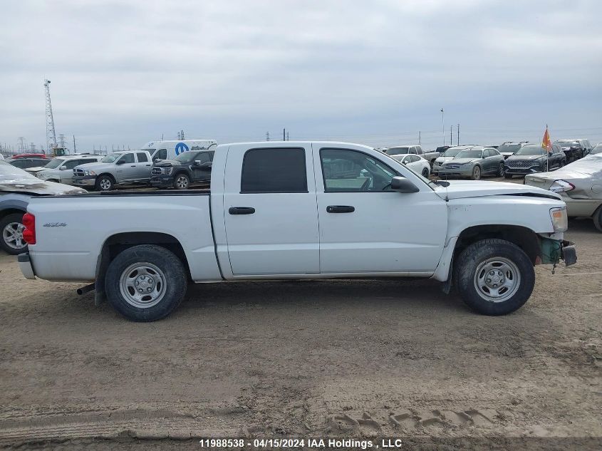 2008 Dodge Dakota Quad/St VIN: 1D3HW28K98S597207 Lot: 11988538