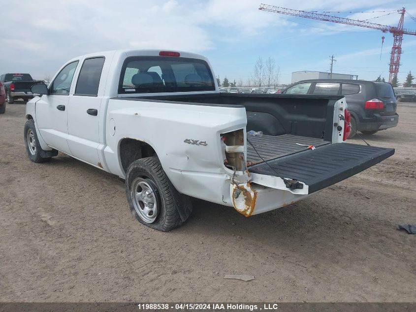 2008 Dodge Dakota Quad/St VIN: 1D3HW28K98S597207 Lot: 11988538