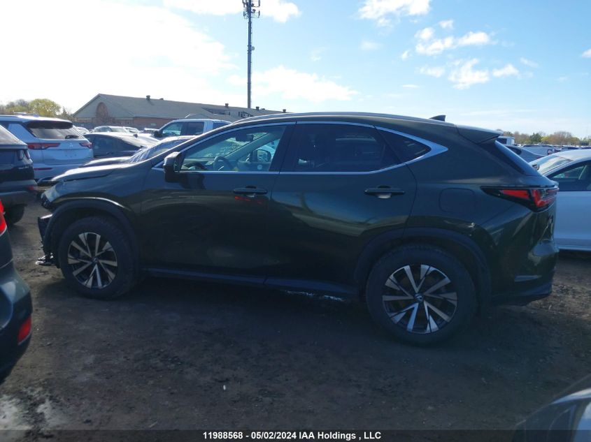 2024 Lexus Nx 350H VIN: 2T2GKCEZ5RC017070 Lot: 11988568