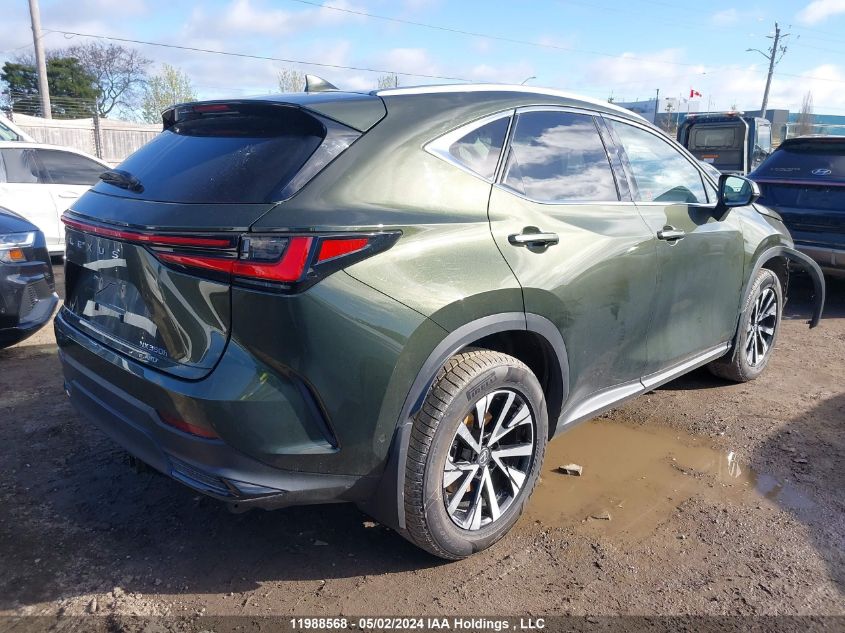 2024 Lexus Nx 350H VIN: 2T2GKCEZ5RC017070 Lot: 11988568