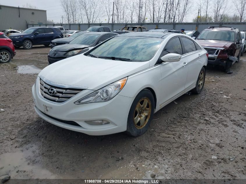 2013 Hyundai Sonata Limited VIN: 5NPEC4AC3DH703355 Lot: 11988708