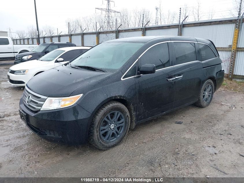 2013 Honda Odyssey VIN: 5FNRL5H49DB504377 Lot: 11988719
