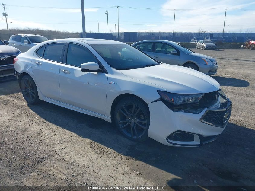 2019 Acura Tlx Advance VIN: 19UUB3F84KA801507 Lot: 11988784