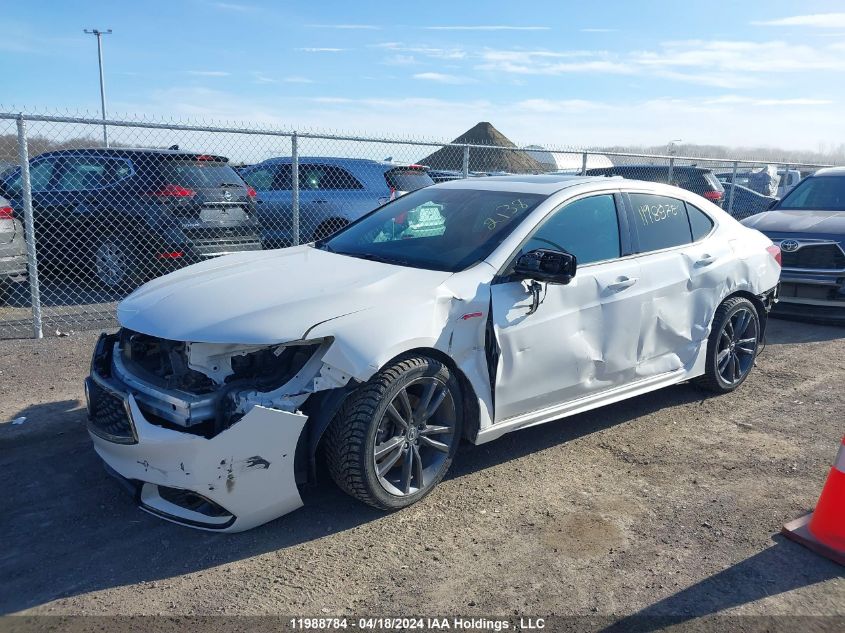 2019 Acura Tlx Advance VIN: 19UUB3F84KA801507 Lot: 11988784