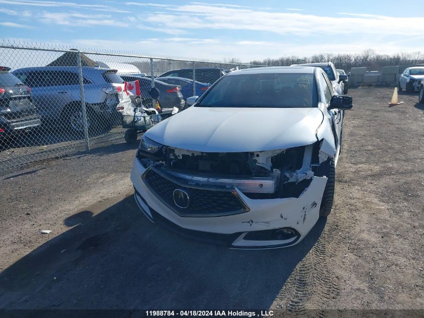 2019 Acura Tlx Advance VIN: 19UUB3F84KA801507 Lot: 11988784