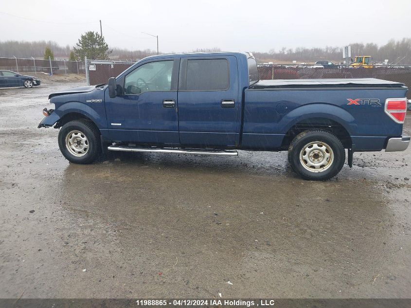 2014 Ford F-150 Xlt VIN: 1FTFW1ET0EFB20094 Lot: 11988865