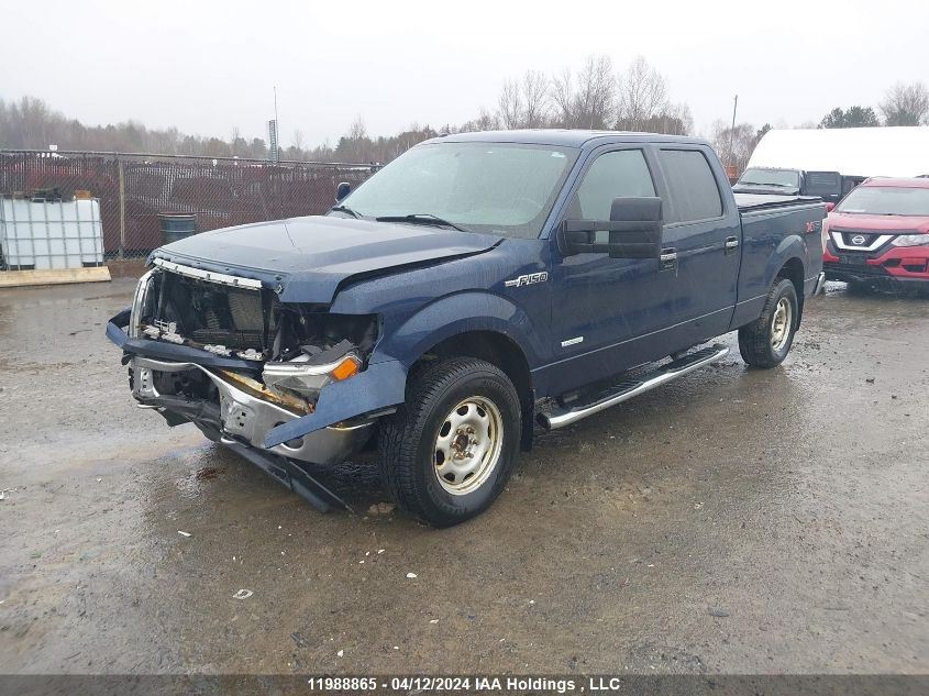 2014 Ford F-150 Xlt VIN: 1FTFW1ET0EFB20094 Lot: 11988865