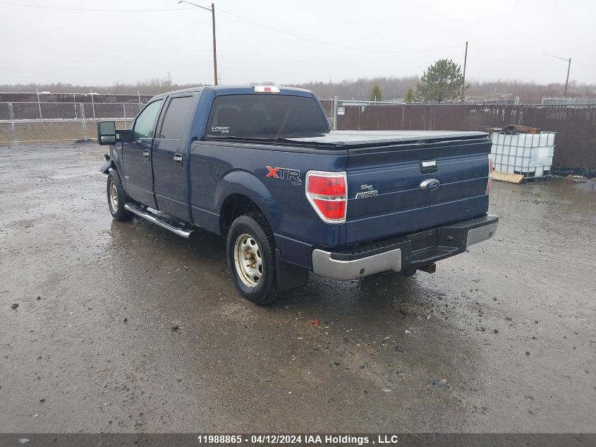 2014 Ford F-150 Xlt VIN: 1FTFW1ET0EFB20094 Lot: 11988865