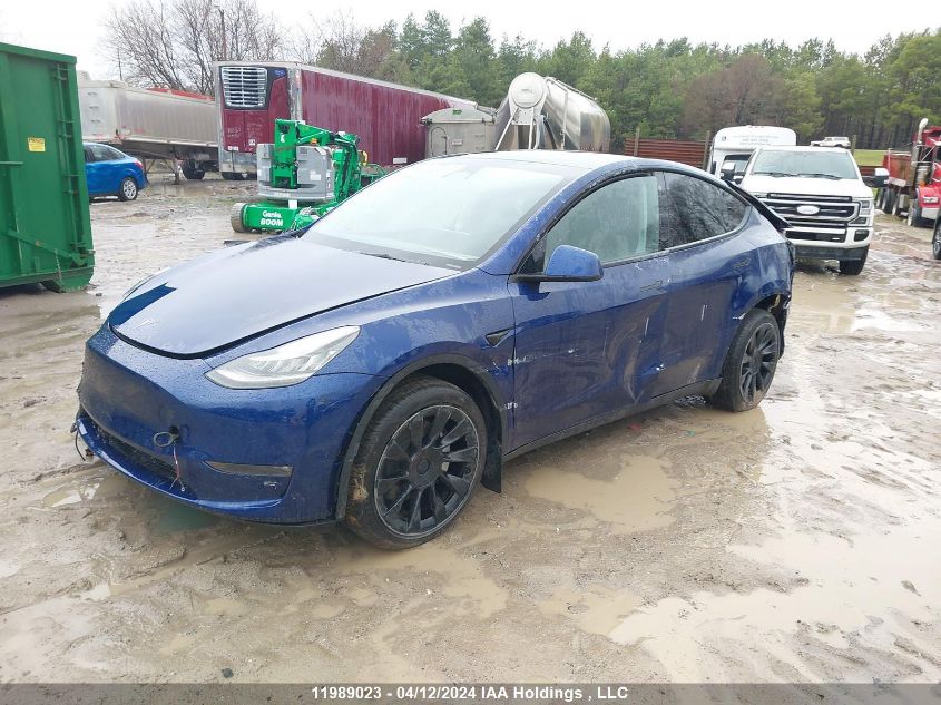 2022 Tesla Model Y VIN: 7SAYGDEE0NF576337 Lot: 11989023