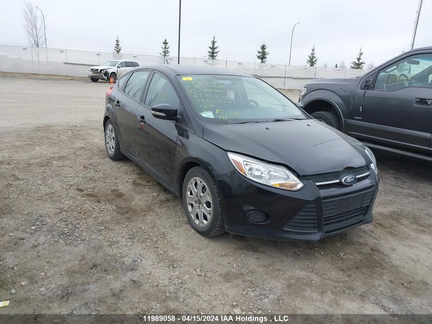 2014 Ford Focus Se VIN: 1FADP3K20EL214446 Lot: 11989058