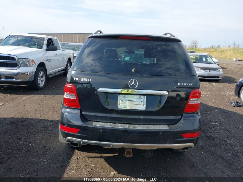 2010 Mercedes-Benz M-Class VIN: 4JGBB2FB9AA586003 Lot: 11989060