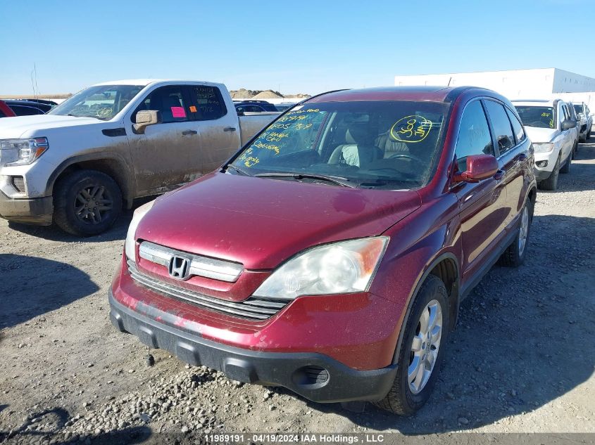 2008 Honda Cr-V VIN: 5J6RE48798L805789 Lot: 11989191